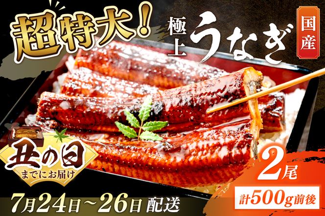 【7月24～26日配送】超特大！極上！国産うなぎ蒲焼 2尾 合計500g前後 ふるさと納税 鰻 九州産 国産 ウナギ 有頭 蒲焼き うな丼 うな重 うなぎ 国産　YK00401_01