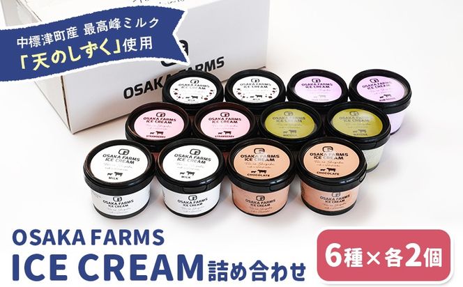 OSAKA FARMS ICE CREAM 詰め合わせ12個入りセット（ミルク・チョコ・イチゴ・抹茶・チョコチップ・ラムレーズン）6種×各2個【51014】