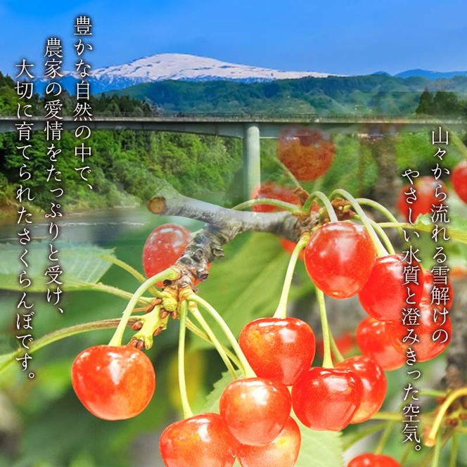 FYN6-255 ≪2026年先行予約≫山形県産 さくらんぼ 品種おまかせ(佐藤錦・紅秀峰など) 700g(350g×2) 秀/L以上 バラパック詰め 2026年6月中旬頃より発送 果物 くだもの フルーツ 夏果実 サクランボ チェリー 桜桃 高級 化粧箱 ギフト箱 贈り物 贈答 ギフト プレゼント 自宅 家庭 産地直送 山形県 西川町 月山