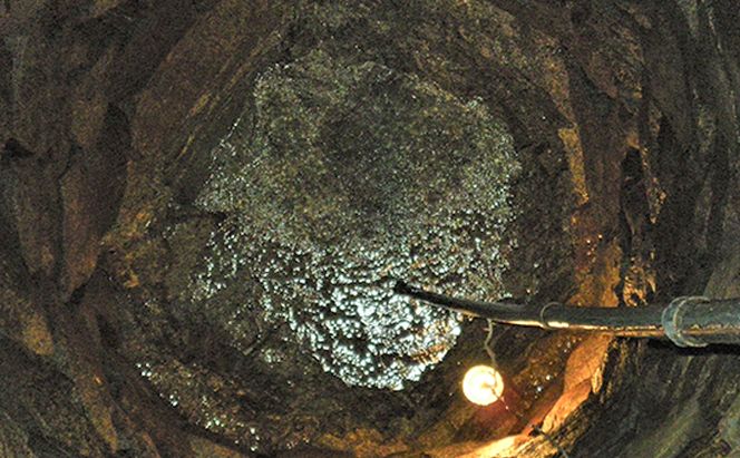 櫻芳烈 大吟醸（720ml×1本） お酒 日本酒 大吟醸酒 アルコール 