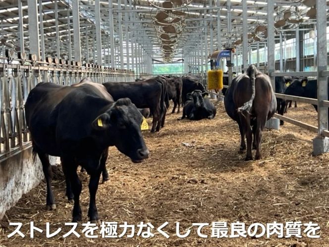 ＜定期便＞松阪牛の品評会で最優秀賞受賞歴のある 加藤牧場の黒毛和牛 ロース・肩ロース　1kg【3回発送】／牛肉　国産牛　黒毛和牛　ロース　肩ロース　肉　上質　美味しい　人気　おすすめ　三重県-[G860]