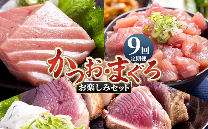 かつお マグロ 定期便【9回定期便】〈月替わり〉かつお・まぐろ お楽しみセット - 定期便 国産 海鮮丼 漬け丼 煮物 鮪 マグロ 鰹 カツオ タタキ Wnz-0122