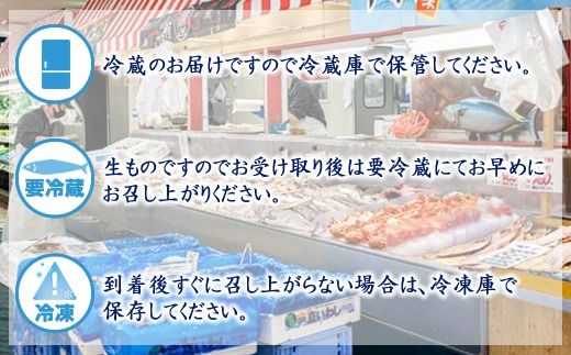 お魚の目利きのプロにお任せ！北海道産（国産） 天然 鮮魚 約500g～1kg（釧路の鮮魚セット）産地直送 冷蔵 冷蔵便 刺身 セット 鮮魚セット 鮮魚ボックス 北海道 釧路町 釧路超 特産品　121-1262-142-001