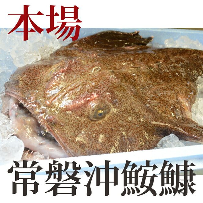 169-7-005-16　【2027年1月発送】常磐沖のあんこう鍋セット（3～4人前）〈出荷時期:2027年1月5日出荷開始～2027年1月25日出荷終了〉【 あんこう鍋 茨城県 日立市 】