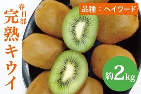 【先行予約】【12月上旬より発送開始】春日部完熟キウイ2kg【埼玉県 春日部市 キウイ キウイフルーツ 2kg 完熟 国産 フルーツ 果物 ヘイワード】(BG004）