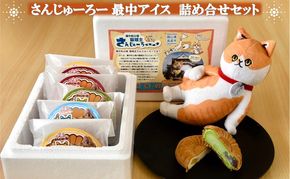 さんじゅーろー 最中アイス 詰め合わせ セット（6個入り） 