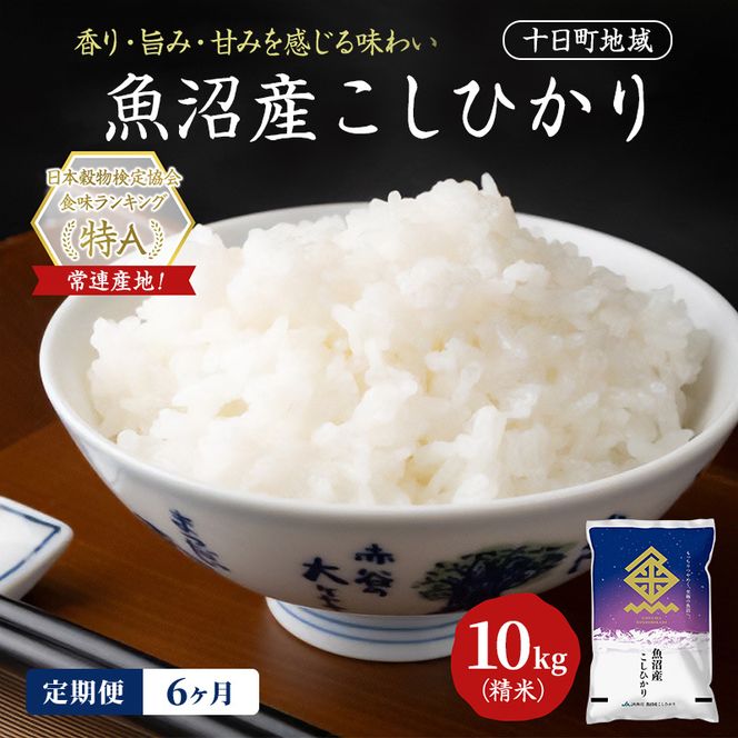 【6ヶ月定期便】魚沼産こしひかり(十日町地域) 精米 10kg(5kg×2) 米 お米 コシヒカリ 定期 十日町市
