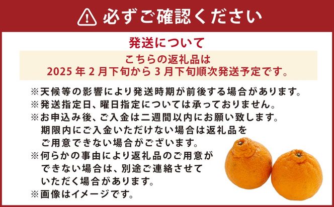 【先行受付】【数量限定】【訳あり】不知火 約5kg 訳あり 訳アリ 柑橘 フルーツ 果物 果実 くだもの みかん 蜜柑 ミカン 九州産 熊本県 上天草市【2025年2月下旬から3月下旬順次発送】