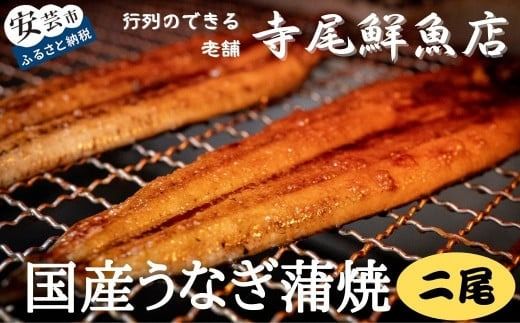 うなぎ蒲焼 国産 2尾 冷凍 タレ付き 蒲焼き ウナギ 鰻 土用丑の日 老舗 寺尾鮮魚店 職人 特製タレ ふっくら 美味しい 創業60年 地元 愛される うま味 国産うなぎ蒲焼 2尾 約400g 冷凍 タレ付き 行列 鮮魚 うなぎ料理 夏バテ防止 スタミナ食 高級 グルメ ギフト 贈り物 国内産 安芸市 高知県