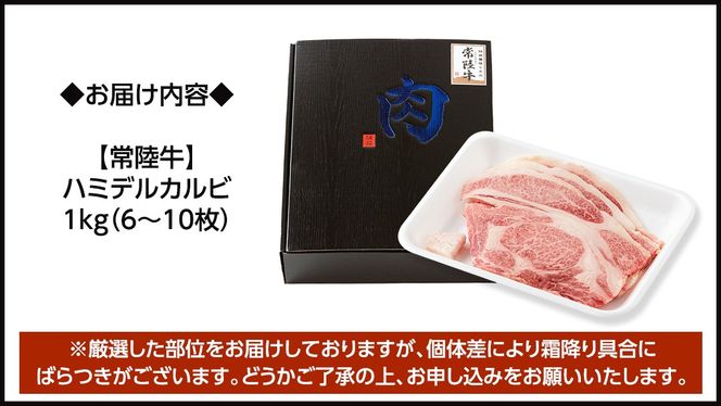 【 常陸牛 】A5 等級 ハミデルカルビ 1kg (6～10枚) ひたちぎゅう ブランド牛 カルビ 国産牛 黒毛和牛 和牛 国産黒毛和牛 お肉 A5ランク 高級 BBQ パーティ [BX128-NT]