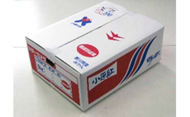 みかん 香川県オリジナル品種 小原紅早生みかん 5kg オリジナル 早生みかん 蜜柑 ミカン 柑橘系 柑橘類 フルーツ 果物 くだもの 果実 旬の果物 旬のフルーツ 香川 香川県 東かがわ市