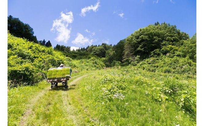 江戸伝承厳選棚田米４Kg（２kg×２） お米 コメ 