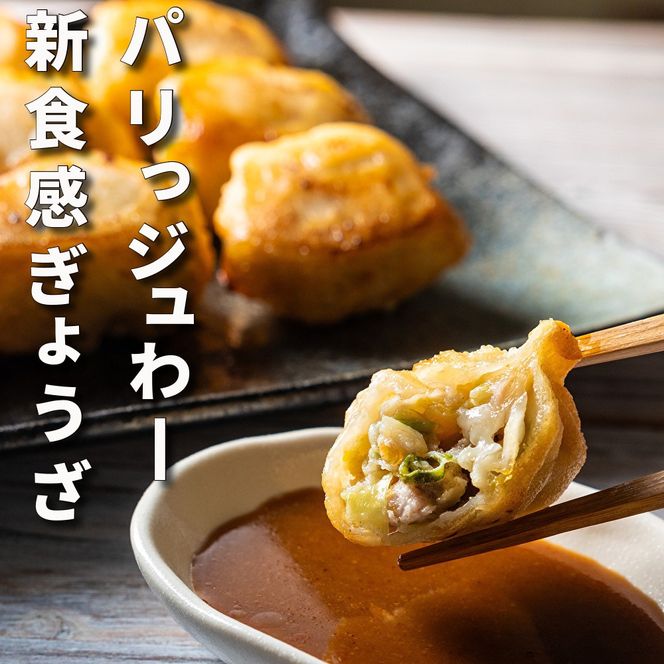 TV番組「PS純金」で紹介！パリっジュわー新食感が人気！餃子専門
