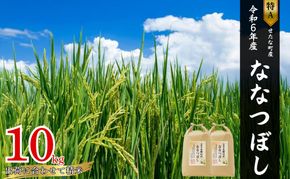 【特Aランク】令和6年産 北海道 せたな町産 ななつぼし 精米 10kg ふるさと納税