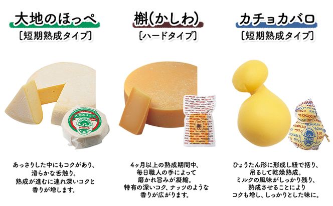 北海道 十勝 チーズアソート7種A / 槲（かしわ）入り バラエティセット 2回定期便（月1回お届け）[チーズ工房NEEDS]【 定期便 頒布会 毎月 チーズ アソート 詰合せ セット バラエティ 槲 モッツァレラ 大地のほっぺ さけるチーズ NEEDS】