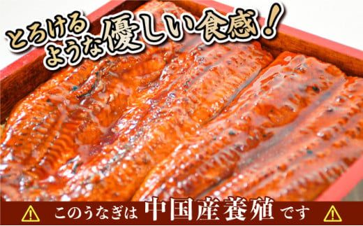 《特大》うなぎ 蒲焼焼き 2尾　500g（250gX2尾）　中国産　B-1035