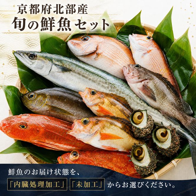 京都府宮津市産『朝どれ！山一鮮魚おおきに便』約4～5kg 魚介類 セット 産地直送 鮮魚 内臓処理加 鮮度抜群 冷蔵 詰め合わせ 旬 鯛 myz02 myz11 myz17