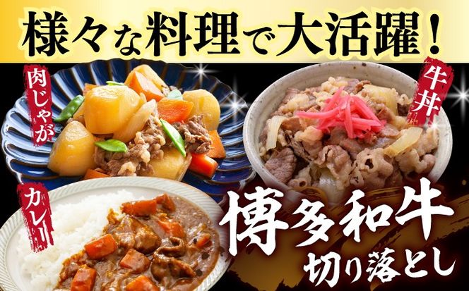 博多和牛切り落とし 1.5kg(500g×3p）《築上町》【MEAT PLUS】肉 お肉 牛肉 赤身[ABBP019]