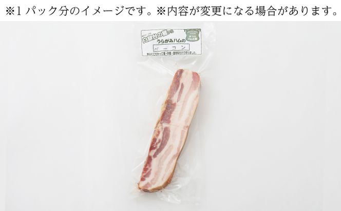 定期便 全3回 / 十勝の無添加豚 ベーコンブロック900g 計2.7kg［うらがみミート］ 無塩せき 保存料・結着剤不使用【 ベーコン 肉 豚 国産 惣菜 おつまみ 料理 燻製 加工品 北海道 十勝 幕別 】