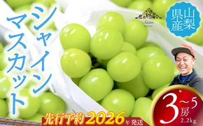 【2026年発送分 先行予約】 シャインマスカット 2.2kg以上（3～5房） 8月中旬以降発送予定 フルーツ 山梨県産 果物 シャイン マスカット ぶどう ブドウ 大粒 種なし 産地直送  富士川町 先行予約（A5307）