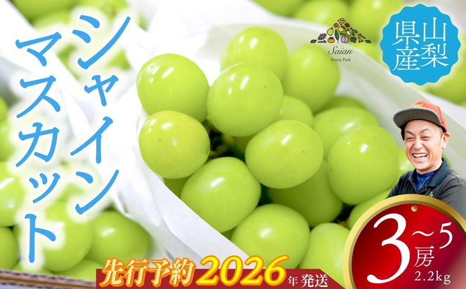 【2026年発送分 先行予約】 シャインマスカット 2.2kg以上（3～5房） 8月中旬以降発送予定 フルーツ 山梨県産 果物 シャイン マスカット ぶどう ブドウ 大粒 種なし 産地直送  富士川町 先行予約（A5307）