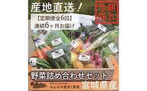 【定期便全6回】連続6ヶ月お届け！岩沼みんなの家の「みんなの直売！野菜」セット詰め合わせ 詰合せ 