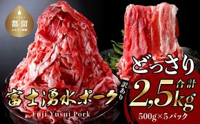 訳あり！富士湧水ポークの切り落とし　２.５kg DM001