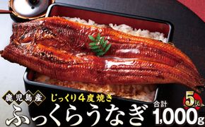 うなぎ 蒲焼 200g×5尾【鹿児島産】地下水で育てた絶品鰻 464686_AQ128