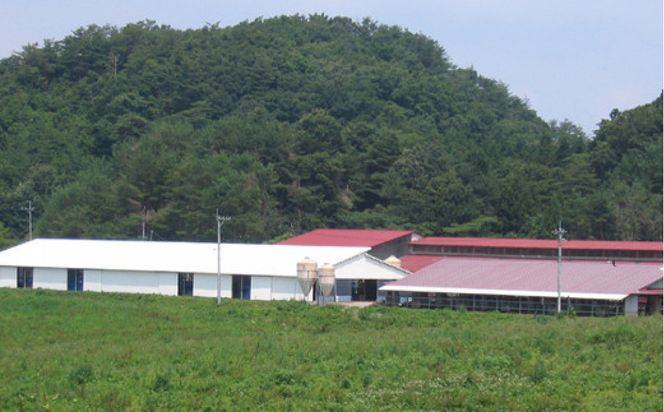 藤増 しまね和牛サーロイン ステーキ 200ｇ×3枚【冷凍】 322032_DS026