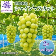 シャインマスカット 2房 合計1kg前後 葡萄 フルーツ 岡山 高梁市産 ぜきお農園 ぶどうclub 2026年 先行予約 果物類 