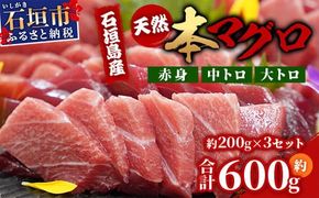 【先行予約】YE-01 石垣島産 天然本マグロ600g（まぐろ赤身・中トロ・大トロのミックスセット ）ヤエスイ マグロ船直送【2025年6月下旬より順次発送】【 産地直送 大トロ 大とろ 中トロ 中とろ 国産 まぐろ 鮪 天然 赤身 魚 お刺身 本まぐろ マグロ 沖縄県 沖縄 琉球 八重山 八重山諸島 石垣島 石垣 石垣島産 】