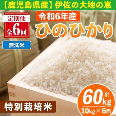 isa517-B 【定期便6回】 ＜無洗米＞令和6年産 鹿児島県伊佐産 特別栽培ひのひかり(計60kg・10kg×6ヵ月)【Farm-K】