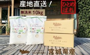 米 ひとめぼれ 無洗米 10kg ご飯 Aランク米