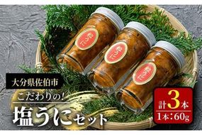 こだわりの塩うにセット(60g×3本)うに ウニ 雲丹 塩うに ミョウバン不使用 冷凍 海の直売所 大分県 佐伯市【AS93】【海べ】