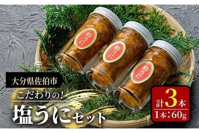 こだわりの塩うにセット(60g×3本)うに ウニ 雲丹 塩うに ミョウバン不使用 冷凍 海の直売所 大分県 佐伯市【AS93】【海べ】