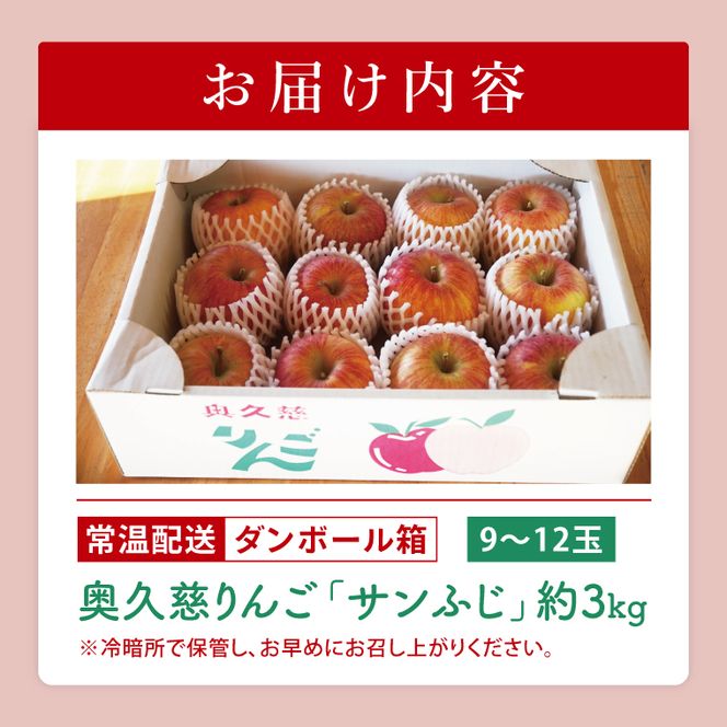 【先行予約】仲野りんご園の奥久慈りんご「サンふじ」約3kg（9～12玉）｜茨城県 大子町 樹上完熟 林檎 アップル 果物 フルーツ 旬 秋 味覚 ギフト 贈答（DF001）