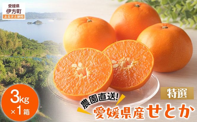 yQɕzys\zyʌz__^QYƂ3kg×1i2026N2{菇j IKTV007