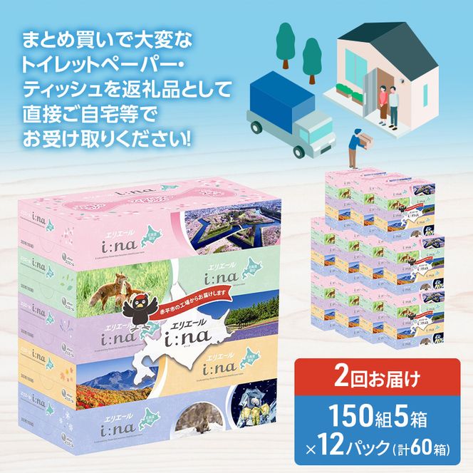 【2回お届け 計120箱】エリエール i:na (イーナ) 北海道 ティシュー 150組5箱 12パック フィルムレス ふるさと納税限定デザイン イーナ ボックスティシュー 箱ティッシュ ペーパー 備蓄品 花粉 赤平市