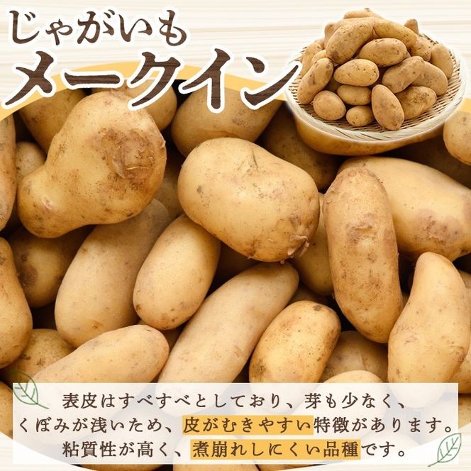 ＜先行予約受付中！2027年5月下旬以降順次発送予定＞ 訳あり！じゃがいも「メークイン」(約20kg) じゃがいも ジャガイモ 芋 国産 野菜 期間限定 数量限定 肉じゃが ポテトサラダ カレー シチュー 【古田果樹園】akn093-08
