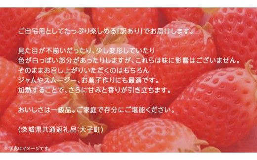 訳あり いちご 4kg【2026年12月上旬発送開始】(茨城県共通返礼品：大子町) 苺 果物 フルーツ 果実 ご家庭用