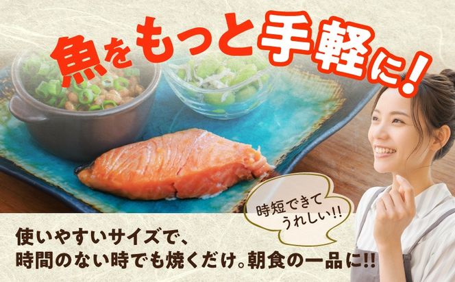 G3709 【お弁当サイズ】銀鮭 切身 約50g×10切れ【小分け 漁師 手切り 500g さけ サケ 切り身 弁当 朝食 時短 訳あり サイズ不揃い 規格外 冷凍食品 スピード発送】