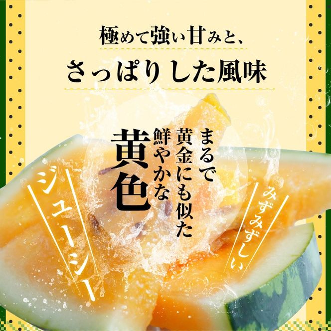 〈予約受付〉【2027年発送】甘さを追求したすいか「金色羅皇」1玉 すいか 甘い 糖度 黄色 果物 フルーツ 数量限定 碧南市 鈴良農園 H141-014