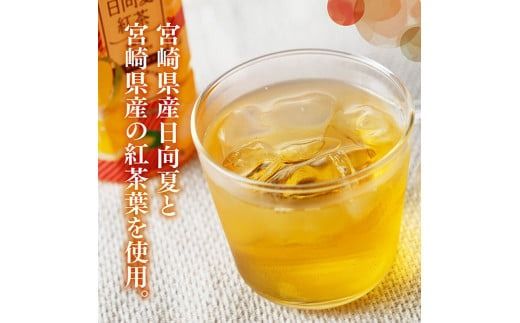 ※本数と回数が選べる※ サンA日向夏紅茶HINATA　TEA500mlＰＥＴ 【 飲料 日向夏 紅茶 ジュース 長期保存 ペットボトル 備蓄 九州 宮崎県産 川南町 持運び簡単 送料無料 】[C03013][C03014]