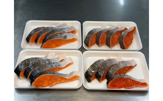 紅鮭＆銀鮭 食べ比べセット（各8切れ・総量約1.3kg） 222232_DM001