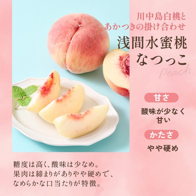 【オンライン決済限定】【2026年8月中旬～発送予定】 先行予約 「浅間水蜜桃プレミアム」 もも なつっこ 秀品 約2kg 5～9玉 贈答品 ふるさと納税 果物 桃 フルーツ モモ 果肉  長野県産 小諸市 