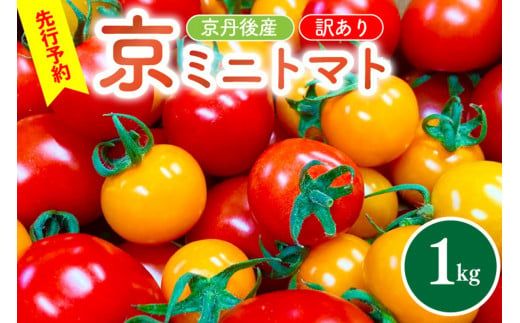 【先行予約】京丹後産・京ミニトマト 1kg（2026年5月中旬～発送）　JK00035