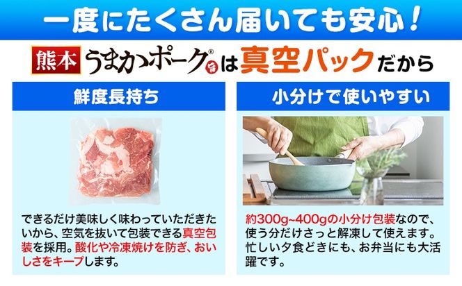 【6ヶ月定期便】豚肉 ミンチ 1.8kg 3.6kg 5.4kg 7.2kg 豚 小分け 訳あり 訳有 ひき肉 うまかポーク 傷 規格外 ぶた肉 ぶた 真空パック 数量限定 簡易包装 冷凍 《お申込み月の翌月から出荷開始》---oz_fuptei_24_48000_m_1800g_mo6---