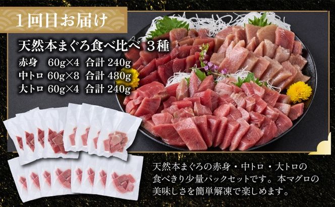 【定期便 全6回】 タカシン水産厳選 高知の海鮮セット 定期便 福袋 海鮮 詰め合わせ タタキ まぐろ マグロ 本まぐろ ネギトロ かつお カツオ 鰹 かつおのたたき カツオタタキ タタキ 魚介 高知 室戸 all!