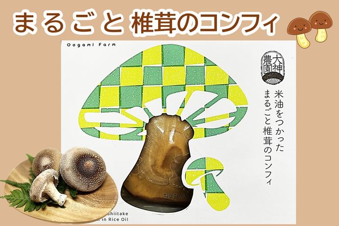 yђˎszyA8-091zĖ ܂邲ƒő̃RtB 2