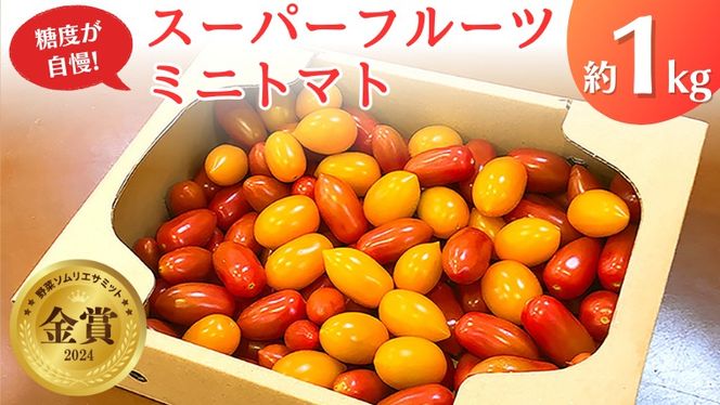 【 先行予約 】 スーパーフルーツ ミニトマト 約1kg 野菜 フルーツトマト フルーツ トマト とまと [AF096ci]